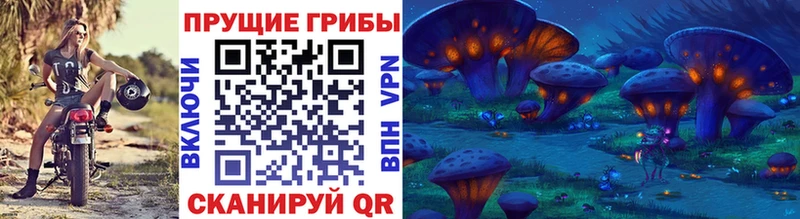 кракен как зайти  как найти наркотики  Райчихинск  Галлюциногенные грибы Magic Shrooms 